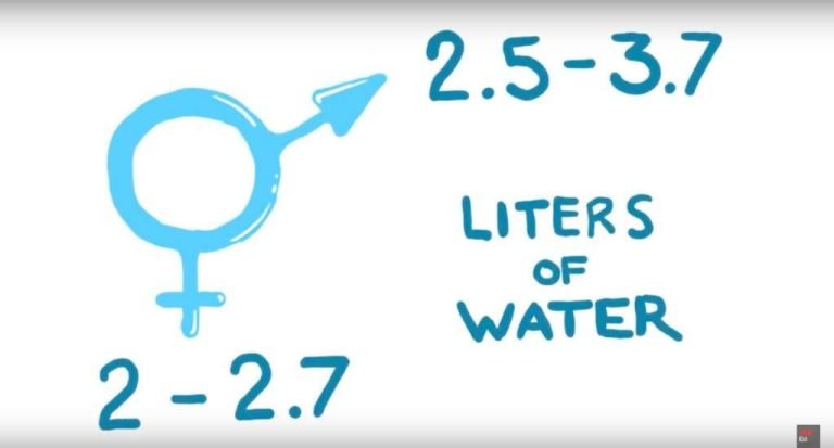 How much water you should drink male female 1024x551 1