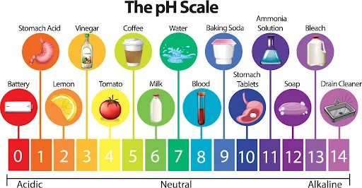 ph scale showing various products and household items across the ph scale