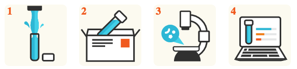 The third image is an infographic with four steps indicating a water testing process: (1) taking a water sample, (2) mailing the sample, (3) laboratory analysis under a microscope, and (4) receiving results on a computer.