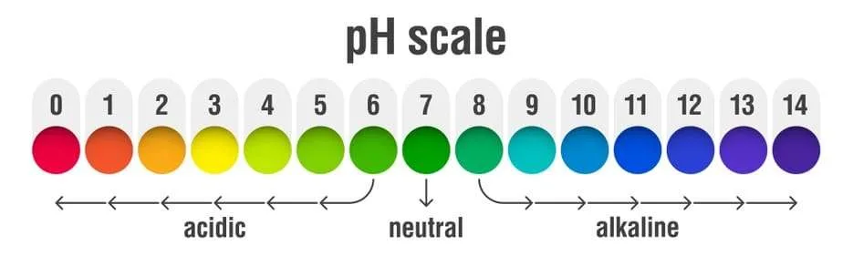 PH Scale jpg